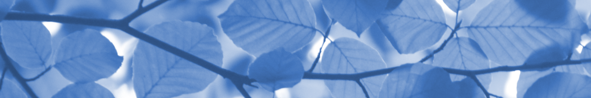 Title image for blog post: Wie funktioniert die Zusammenarbeit mit n-abler?