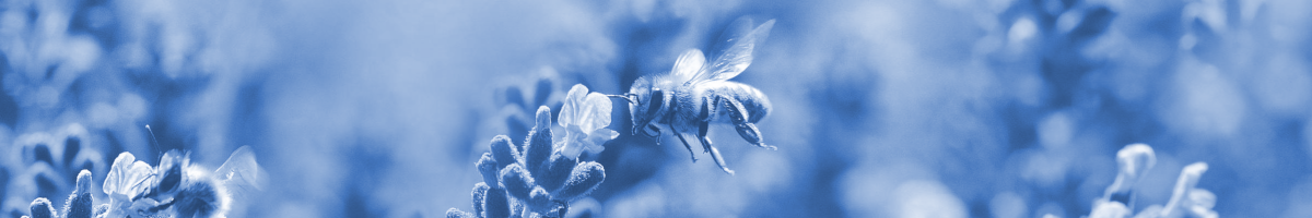 Title image for blog post: Was ist Nachhaltigkeit eigentlich?