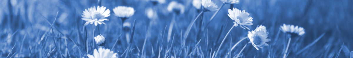 Title image for blog post: Vom Projekt zum Produkt