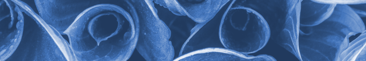 Title image for blog post: Wie funktioniert nachhaltige Produktentwicklung?