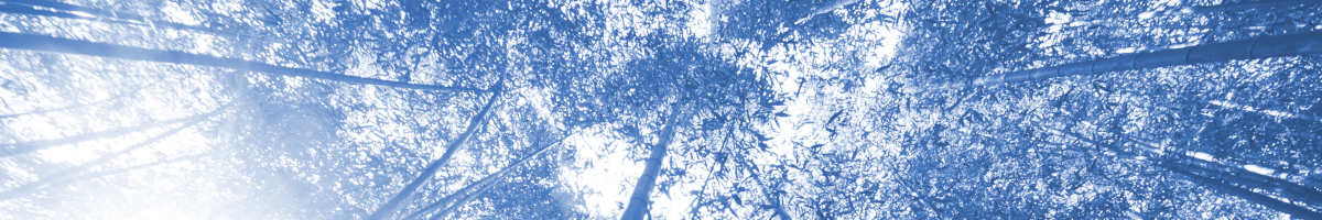 Title image for blog post: Mehr als Business Value: Wie Product Owner Wert heute ganzheitlich verstehen können