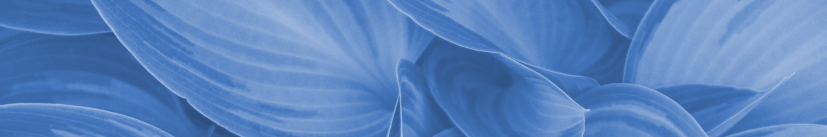 Title image for blog post: Hypothesen vertesten - aber bitte ohne Confirmation Bias