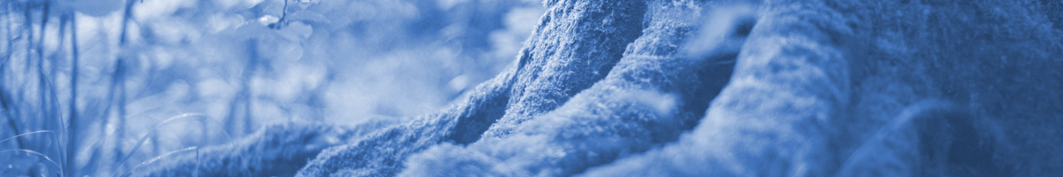 Title image for blog post: KI und Nachhaltigkeit